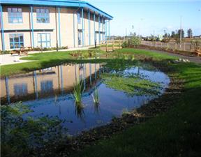 Sustainable drainage systems, such as attenuation ponds can help reduce surface water flooding.